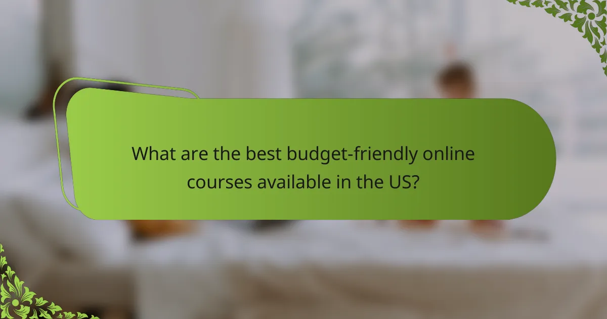 What are the best budget-friendly online courses available in the US?